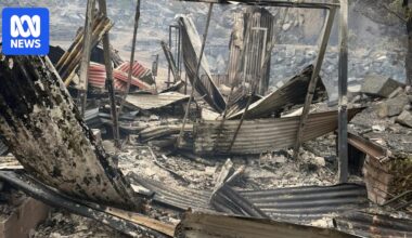 Ravenswood local 'Catman' shares heartbreak after 'catastrophic' bushfire damage