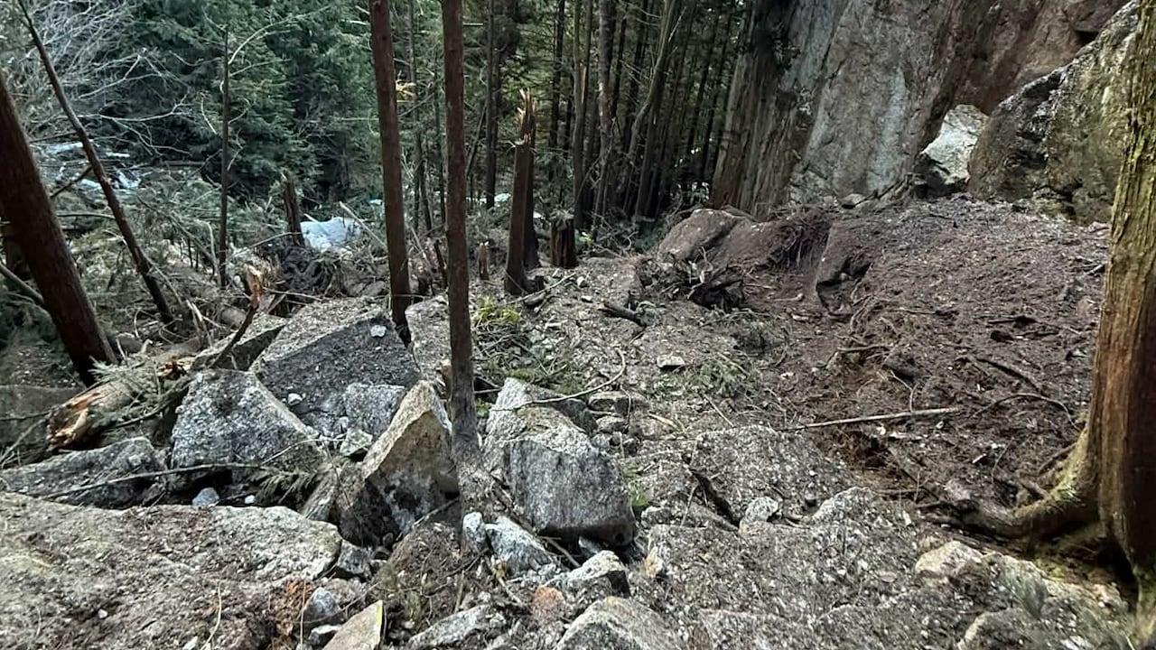 Rockfall, trees and debris on trail 
