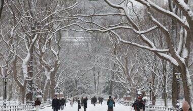 Impactful snow, rain eyes East Coast as La Niña winter returns