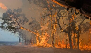 Alexandra town centre saved in bittersweet victory for fire crews