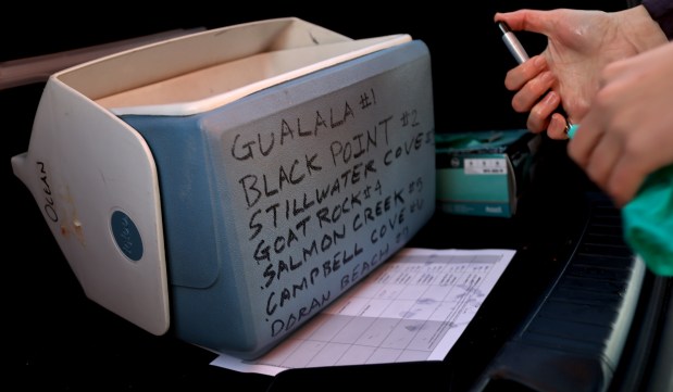 Ellyse Cappellano, county environment health specialist, records her latest water sample, at Doran Regional Park , Thursday, Jan. 8, 2026, in response to the sewage spill in Guerneville. Several site are being tested up a down the Sonoma Coast. (Kent Porter / The Press Democrat)