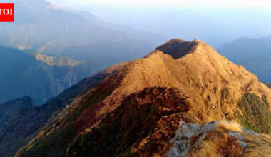 In a 1st in 4 decades, peaks in Garhwal Himalayas remain snowless in Jan, affect growth of medicinal plants | Dehradun News