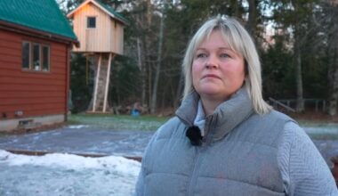 Colchester school bus cancellations leave parents scrambling