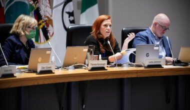 Sea of incumbent Ottawa councillors planning to seek re-election in 2026