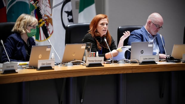 Sea of incumbent Ottawa councillors planning to seek re-election in 2026