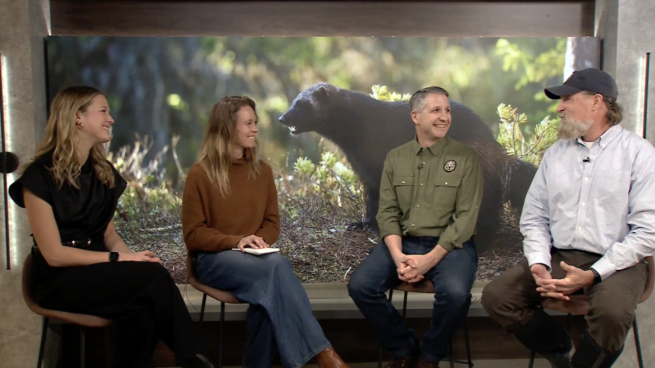 From left, Denver7's Maggy Wolanske and Stephanie Butzer speak with two Robert Inman and Jake Ivan, CPW’s wolverine program managers, about the wolverine restoration plan. 
