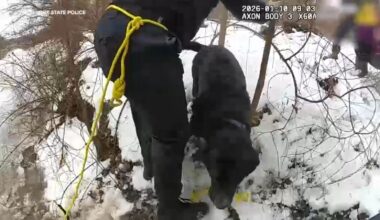 Trooper helps rescue woman and her Labrador Bernese Mountain dog from icy canal in Little Falls, NY