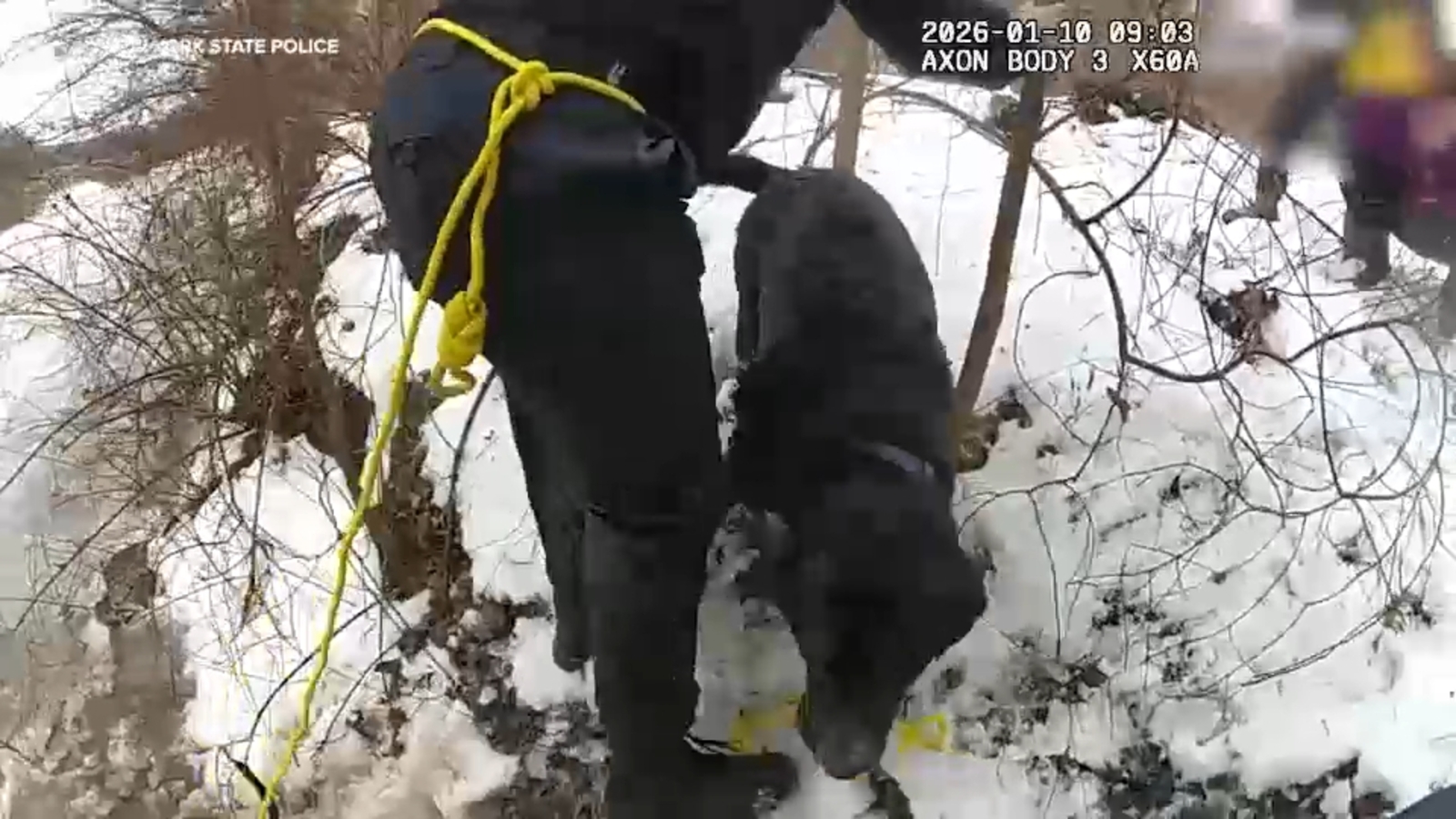 Trooper helps rescue woman and her Labrador Bernese Mountain dog from icy canal in Little Falls, NY