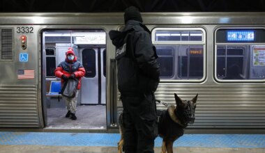 Chicago train stabbing: Demetrius Thurman accused of recording fatal attack