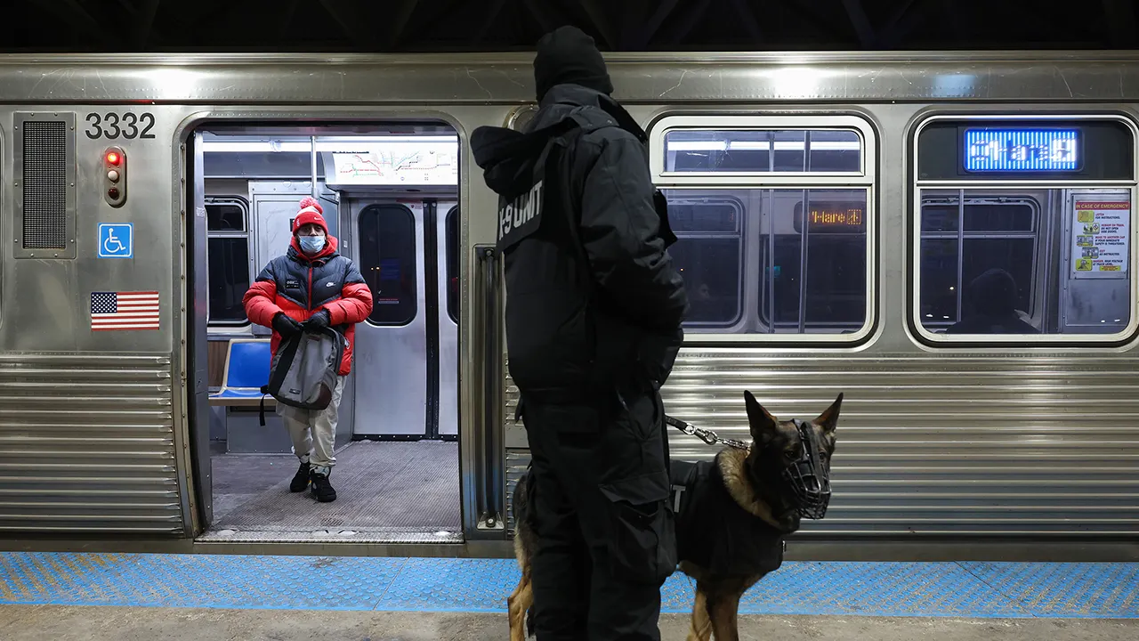 Chicago train stabbing: Demetrius Thurman accused of recording fatal attack