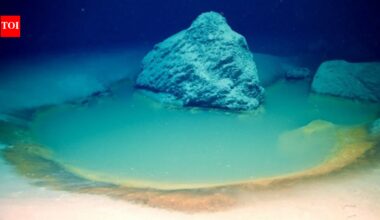 What is ocean’s ‘lake of death’? What happens when marine life enters one of deadliest underwater spots |