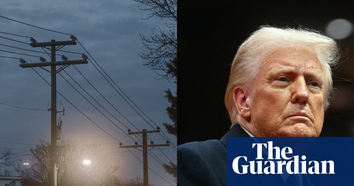 How Trump’s promise to slash energy bills in half has failed across the US | Energy