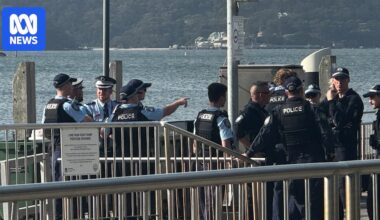 Boy, 13, in critical condition after being bitten by a large shark at Sydney Harbour beach