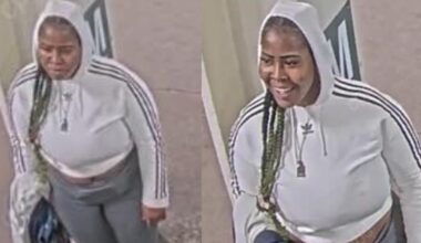 Woman accused of robbing, attacking CTA Red Line passenger sought by police