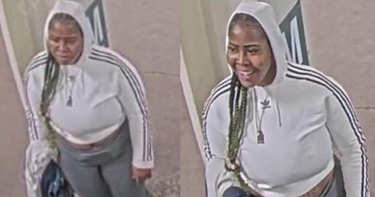 Woman accused of robbing, attacking CTA Red Line passenger sought by police