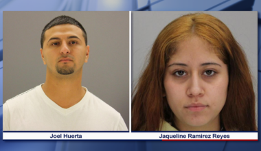 5 arrested after crowd assaults Dallas officers at crash scene: police