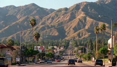 Don't let nature's splendid rebirth fool you. L.A.'s fire zone is hurting, not healing