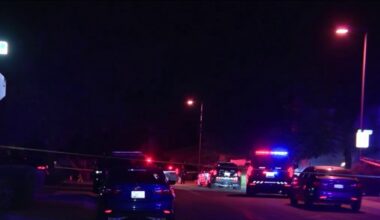 String of domestic violence incidents across Phoenix leave several dead