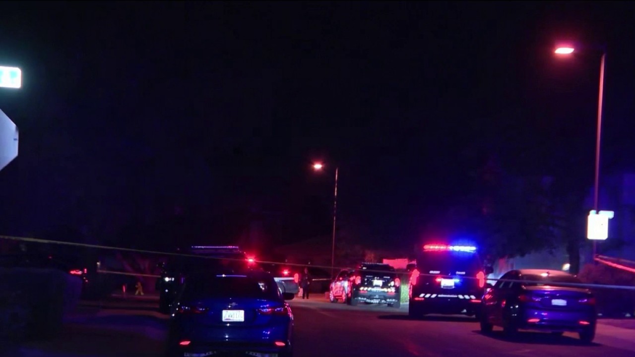 String of domestic violence incidents across Phoenix leave several dead