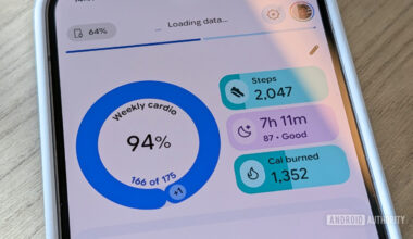 Google Fitbit Homescreen