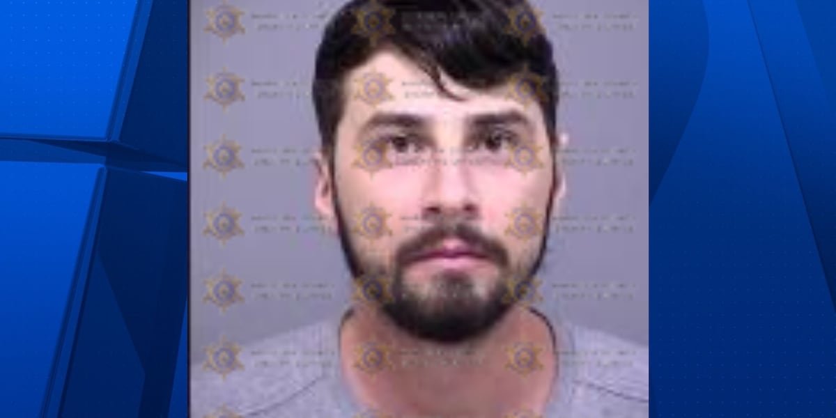 Man arrested in connection with 40+ Home Depot thefts across metro Phoenix