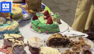 1,000 cakes and eight complaints: Brisbane picnic event under investigation