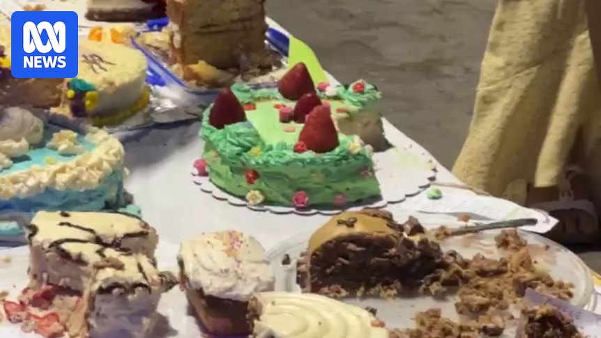 1,000 cakes and eight complaints: Brisbane picnic event under investigation