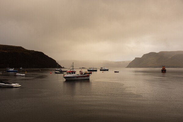 Creel fishing boats, tour boats and others dock at the harbor on Nov. 22, 2025, in Portree, Scotland. (AP Photo/Emily Whitney)