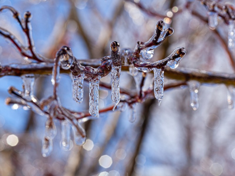 San Antonio and Bexar County open warming shelters ahead of weekend winter storm