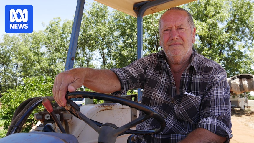 Griffith City Council decides flannelette shirts are appropriate business attire