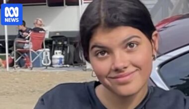 K'gari dingoes involved in death of Canadian backpacker Piper James euthanased