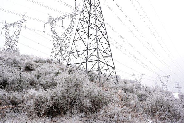 Power lines and shrubs are covered in ice during a winter storm Sunday, Jan. 25, 2026, in Nashville, Tenn. (AP Photo/George Walker IV)