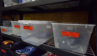 Casa Cornelia hosts coat, blanket drive through Feb. 28