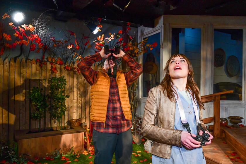 "Birds of North America" at A Red Orchid Theatre