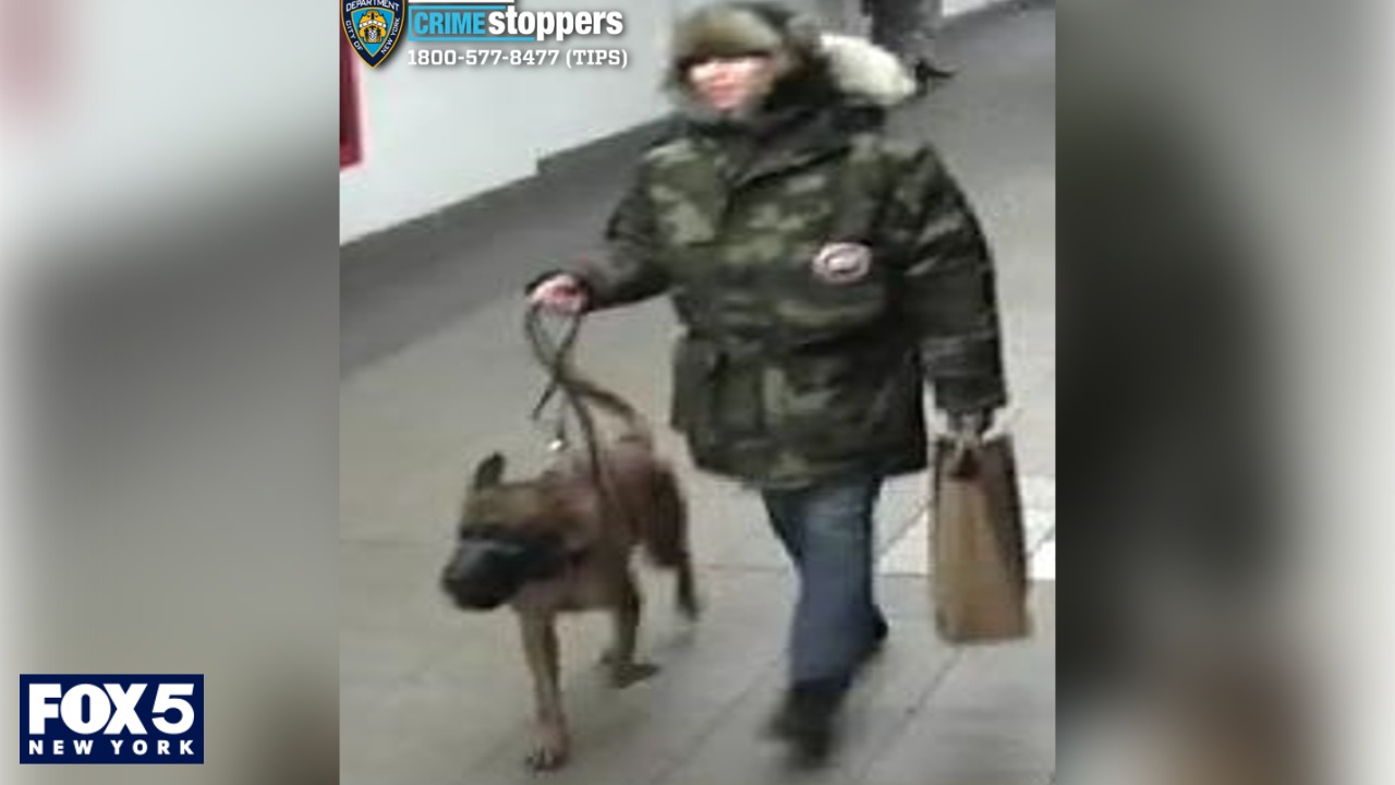 Man bitten by dog in Union Square subway station, police say