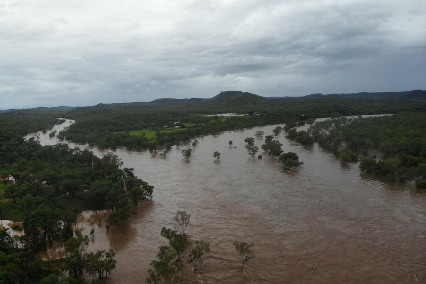 A river with water flowing over trees.