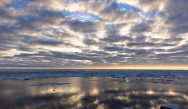 Interior Department agency solicits interest in seafloor mining off Alaska