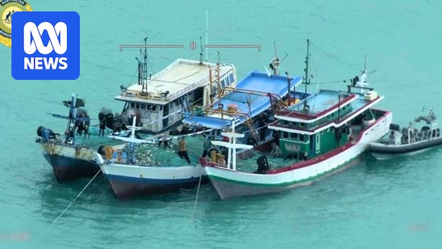 'Never seen magnitude' of foreign vessels in Far North Queensland, as government defends border security