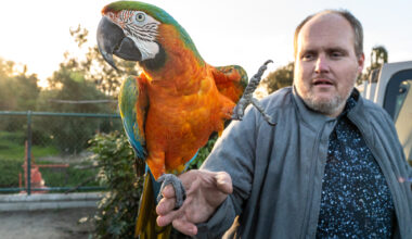 Homeless people across San Diego County counted in annual census