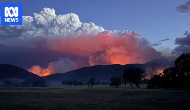 More than $370 million now allocated for Victorian bushfire recovery support