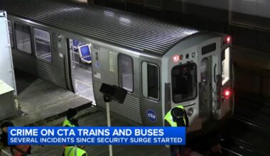 CTA Pink Line shooting: Pedro Villarreal charged with murder of Raymond S. Harrison Jr. in Loop, Chicago on train: Police