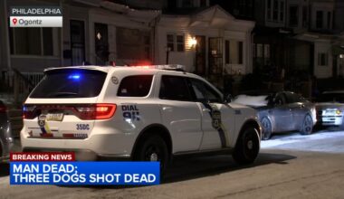 Man dies after being found with three shot dogs in Philadelphia home