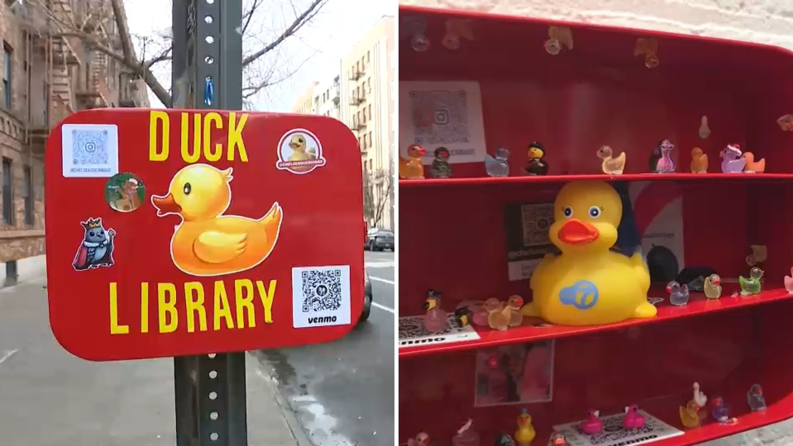 Duck libraries popping up throughout NYC, sparking trend and joy amongst kids