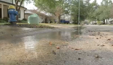 311 records show nearly a dozen complaints were made before a leaky hydrant was fixed