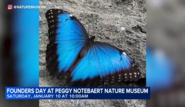 Peggy Notebaert Nature Museum of the Chicago Academy of Sciences to celebrate Founders Day this weekend