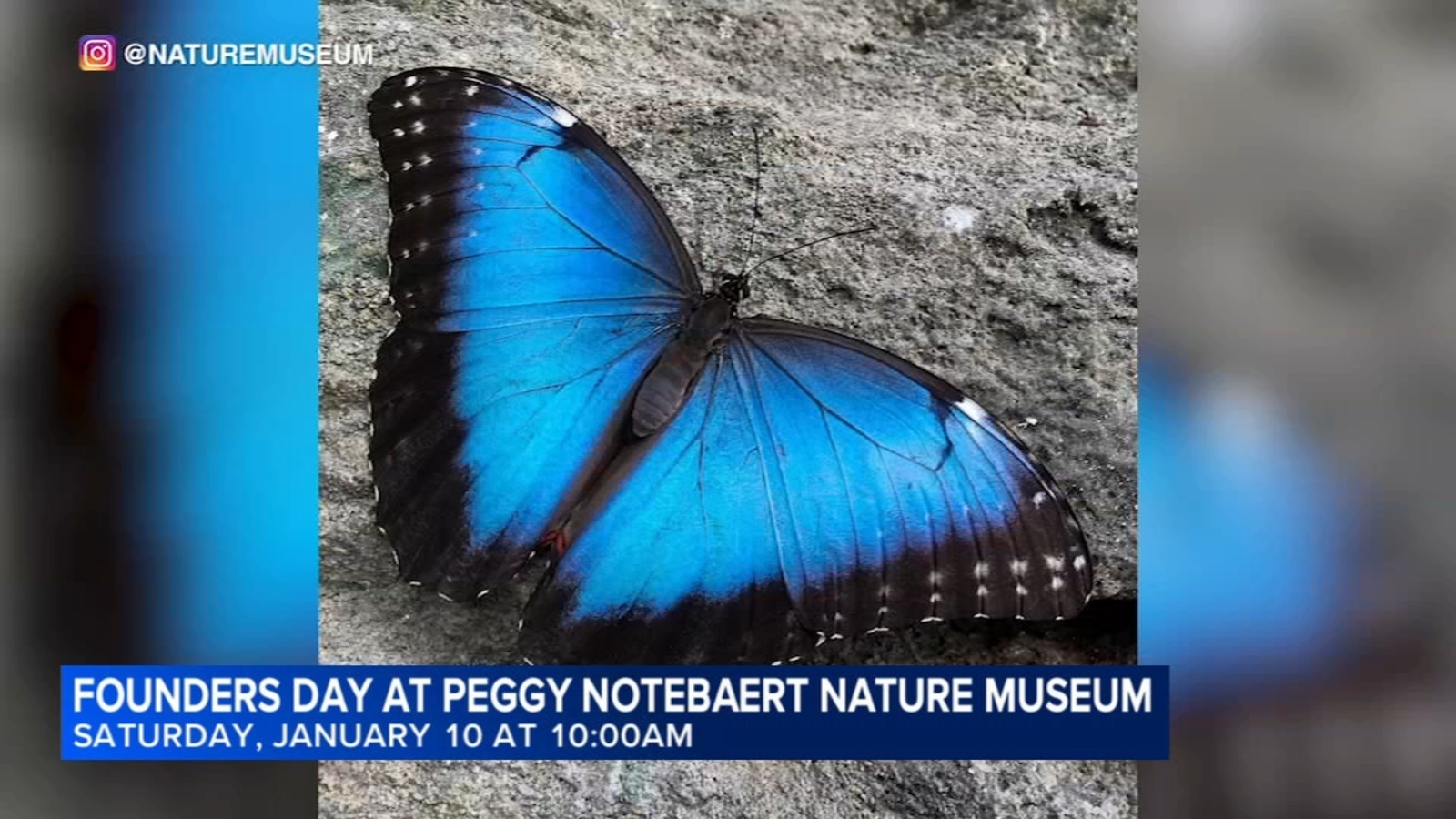 Peggy Notebaert Nature Museum of the Chicago Academy of Sciences to celebrate Founders Day this weekend