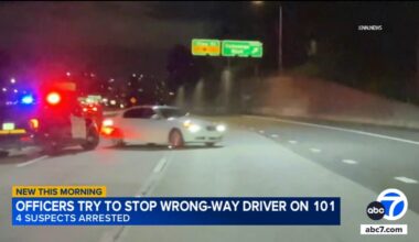 Officers try to stop wrong-way driver on 101 Freeway in Los Angeles, video shows