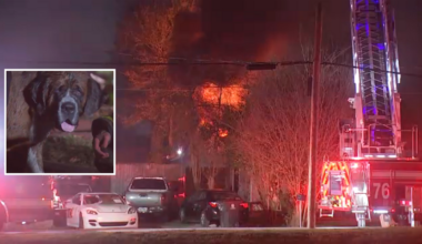 Dog rescued from burning home along Alief Clodine Road in west Houston; homeowner unaccounted for, HFD says