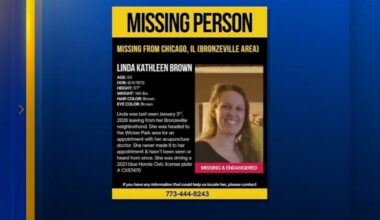 Missing Chicago teacher from Robert Healy Elementary School Linda Brown seen getting out of car, not returning: family