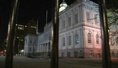 New York City Council data analyst Rafael Andres Rubio Bohorquez detained by ICE in Nassau County, Long Island, sparking protests